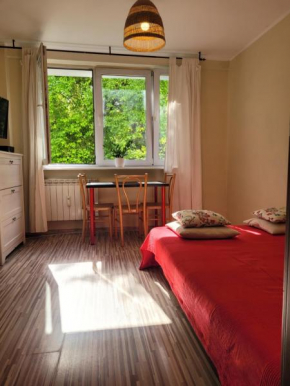 Sunny and lovely apartment. Near Chopin Airport!